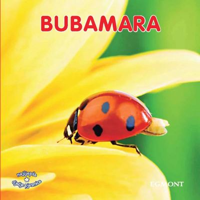 KT JEDNA MALA BUBAMARA EGMONT