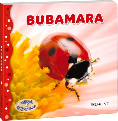 Bubamara,1 kom.