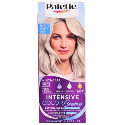 PALETTE ICC C9 SILVER BLOND