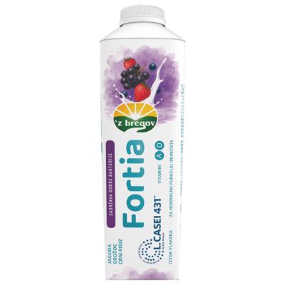 JOGURT FORTIA JAG-GROŽ-CRNI RIBIZ 1000g VINDIJA