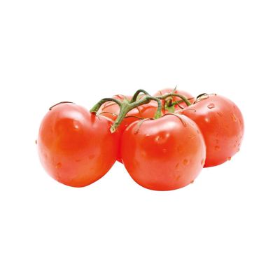 RAJČICA GRAPOLO (6)