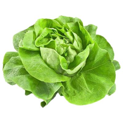 SALATA PUTER KOMAD