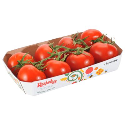RAJČICA HARMONY 500 grama