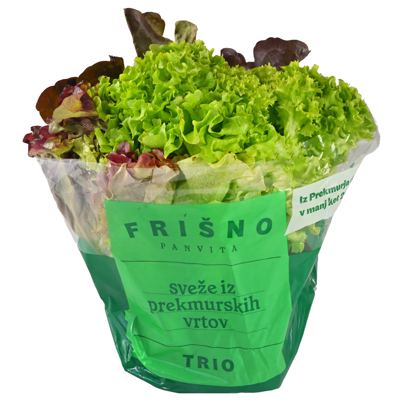 SALATA TRIO S KORIJENOM KOM