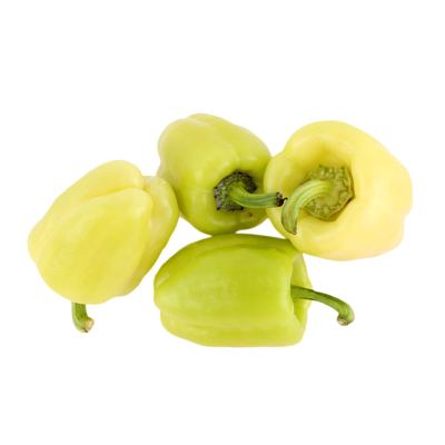 Paprika babura rfs