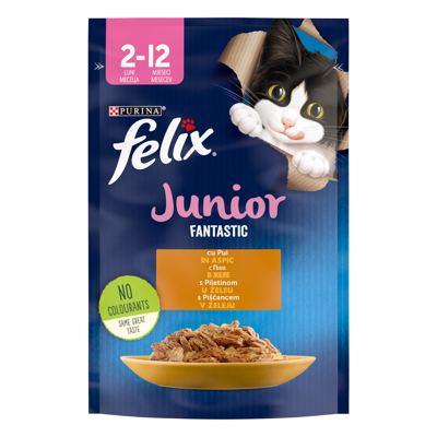 FELIX FANTASTIC JUNIOR PILETINA 85g
