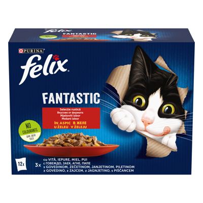 FELIX FANTASTIC MESO 12X85G
