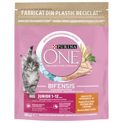 ONE SM JUNIOR PILETINA 800g