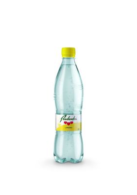 RADENSKA LIMUN 0,5L PET AWT