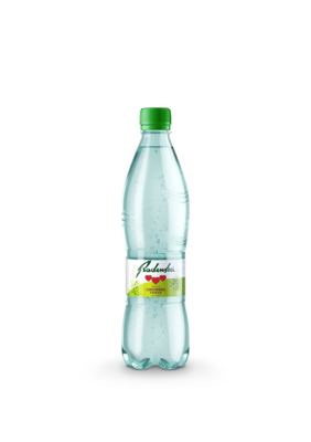 RADENSKA LIMUNSKA TRAVA 0,5L AWT