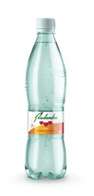 RADENSKA MANGO LIMETA PET 0,5 (12)*