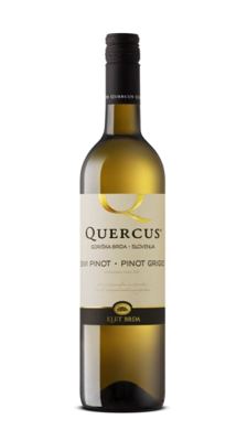 *PINOT SIVI QUERCUS 0.75L ZOI SUHO 2024. 6/1