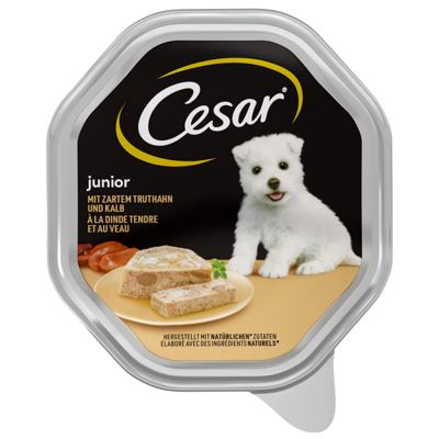 CESAR MP 150 g PURETINA JUN. POS.