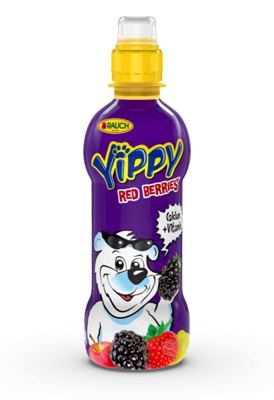 YIPPY 0,33L ŠUMSKO VOĆE PET RAUCH