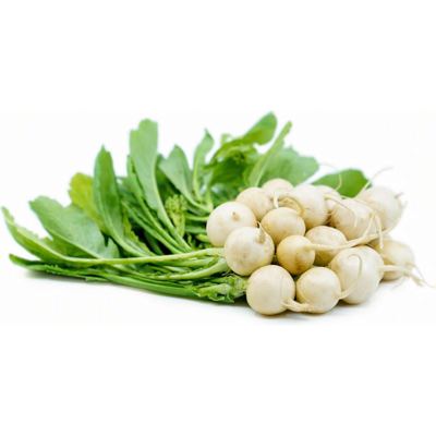 400G MINI REPA