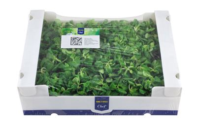 500G MC MATOVILAC KL I