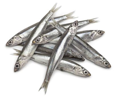INĆUNI SLANI FILET 200 g OCJ. MASA 130 g PELA