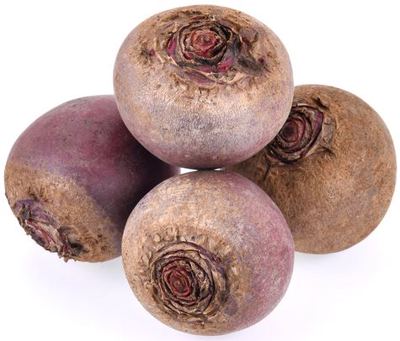 CIKLA KORIJEN - KG