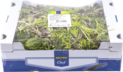 1KG MC MJEŠAVINA SALATA KL I