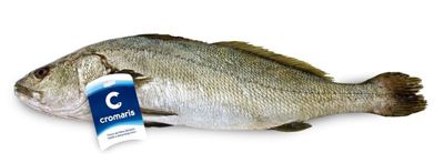 Hama odrezak