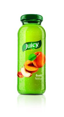 0,2L JUICY NEKTAR GUSTI