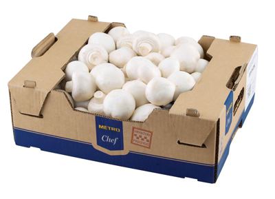 3KG MC ŠAMPINJONI SVJEŽI KT