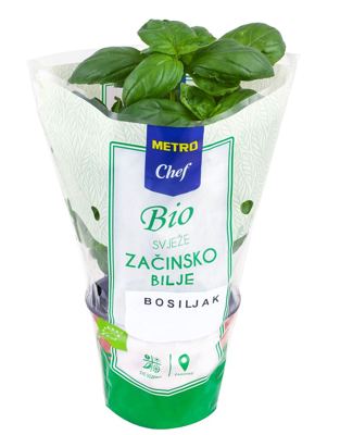 MC BIO SVJ.ZAČ. BILJE BOSILJAK