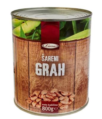 2600G LARA GRAH ŠARENI