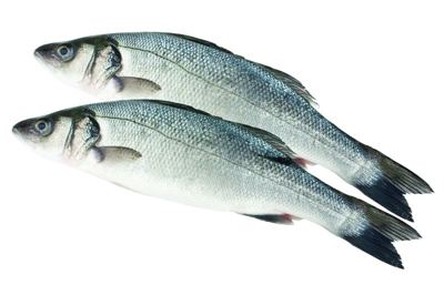 BRANCIN 250-330G, OČIŠĆENI