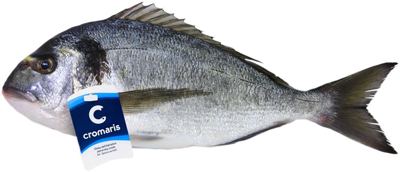 Orada LL 400-600 g