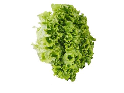 SALATA KRISTAL S KORIJENOM