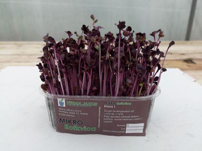 300G MIKROZELENJE ROTKVICA
