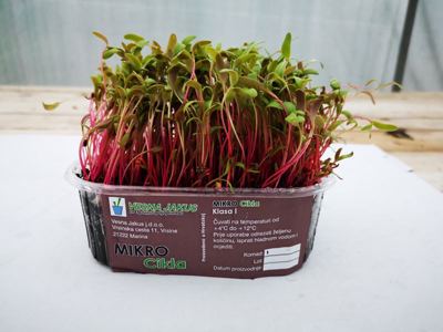300G MIKROZELENJE CIKLA