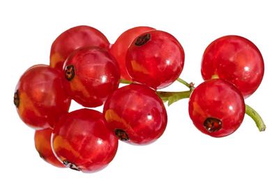 125G CRVENI RIBIZ -PD