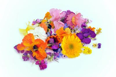 10G JESTIVO CVIJEĆE MIX