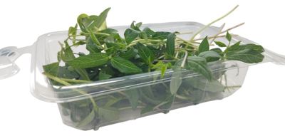 30G MICROGREENS MUNGO GRAH
