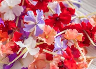 VERBENA CVIJEĆE MIX - KOM