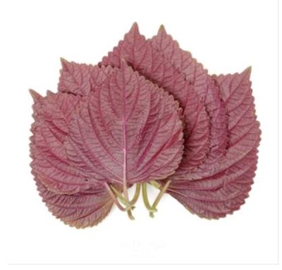 SHISO LIST LJUBIČASTI - KOM