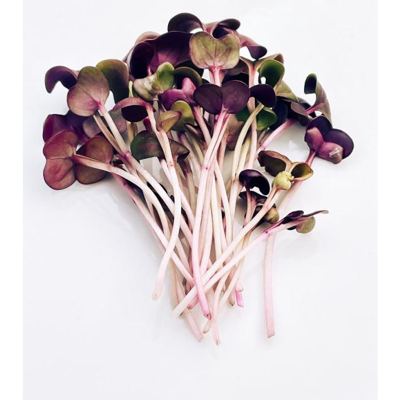 MICROGREENS ROTKVICA LJUB-KOM