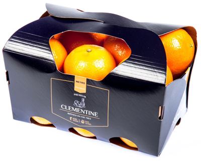 1KG MP KLEMENTINA KOM-STAND.-VAR.
