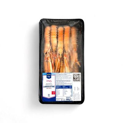 800G MC ŠKAMPI 17-20 N.W.