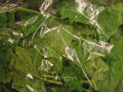 500G ŠPINAT VC - L'INSALATE