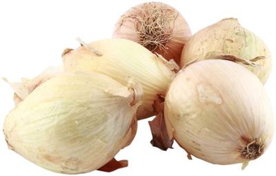 500G LUK GUARNICION