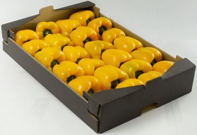5KG PAPRIKA ŽUTA KT KL I