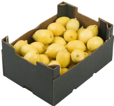 10KG LIMUN - KT 1/2 CAL KL II