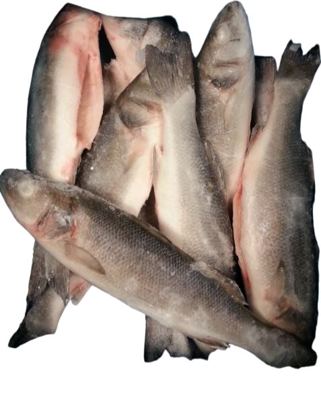 4KG BRANCIN OČIŠĆENI 200-300G