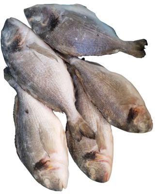 4KG ORADA OČIŠĆENA 200-300G