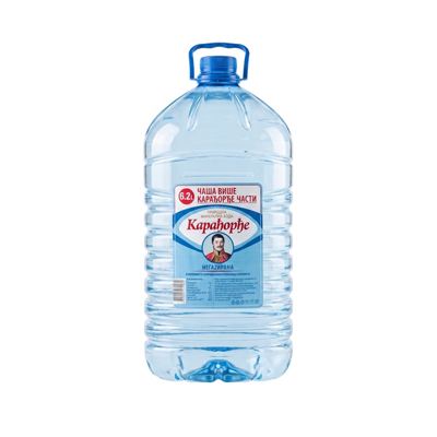 PRIRODNA NEGAZIRANA VODA KARADJORDJE 6.2L PET