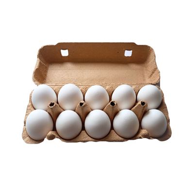 JAJA BELA M GRUPA 10/1 EGG-TRADE DOO
