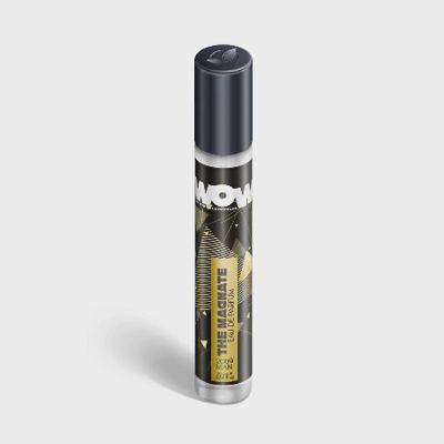 PARFEM THE MAGNATE MEN 2009 25ml